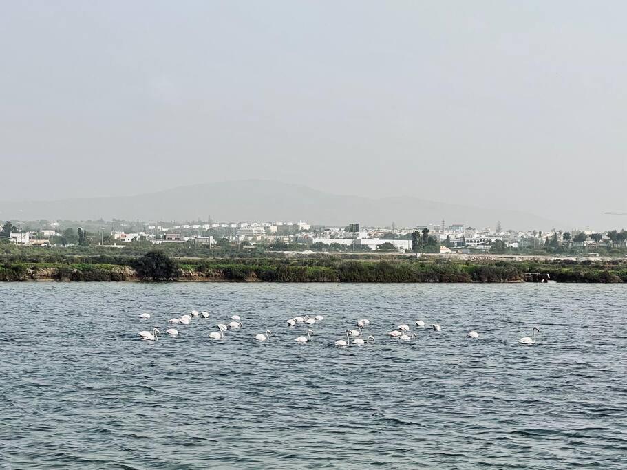 Olhao 3 Bedroom With Rooftop Pool, Marina Village 외부 사진